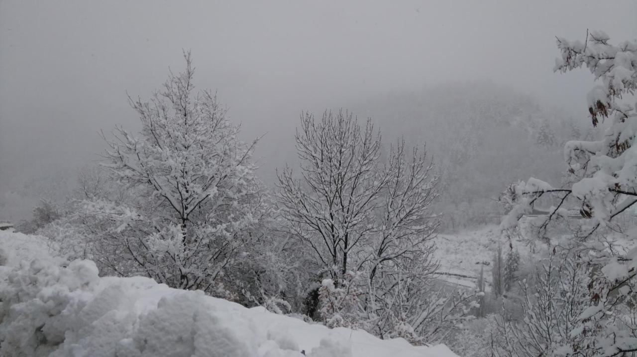 Studio Montagne Cerdagne A ساياغوز المظهر الخارجي الصورة